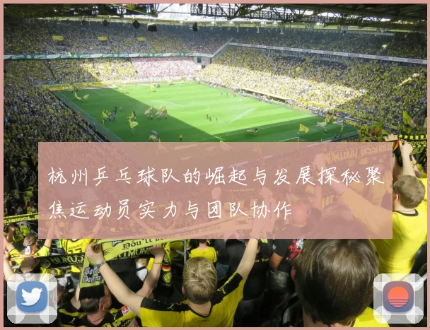 杭州乒乓球队的崛起与发展探秘聚焦运动员实力与团队协作