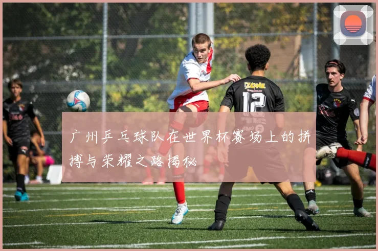 广州乒乓球队在世界杯赛场上的拼搏与荣耀之路揭秘
